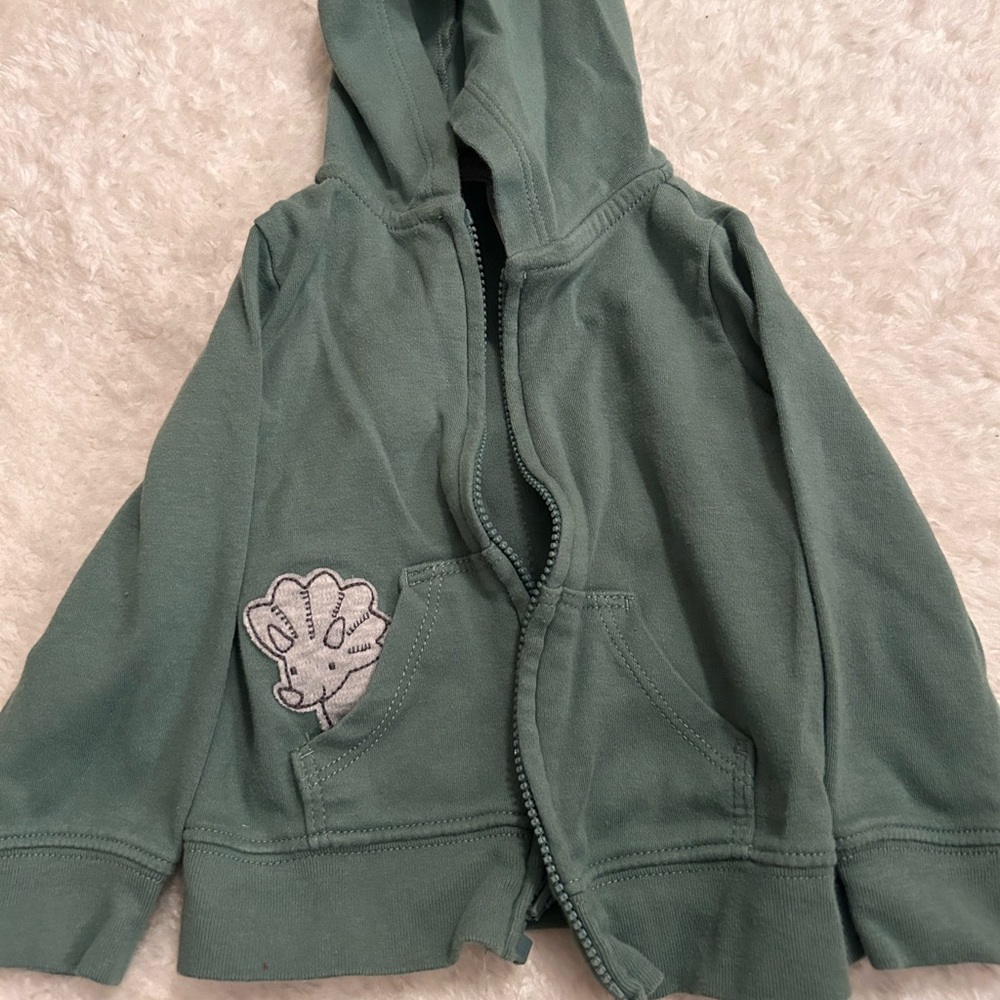 Carter’s dinosaur hoodie with joggers!